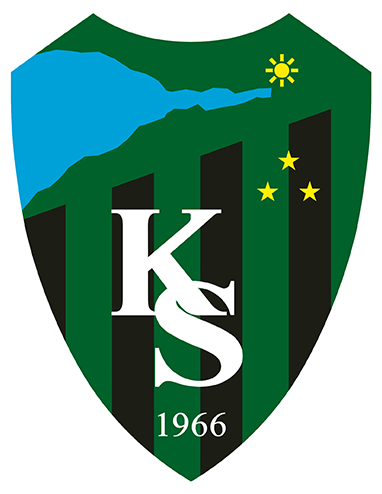 Kocaelispor logosu